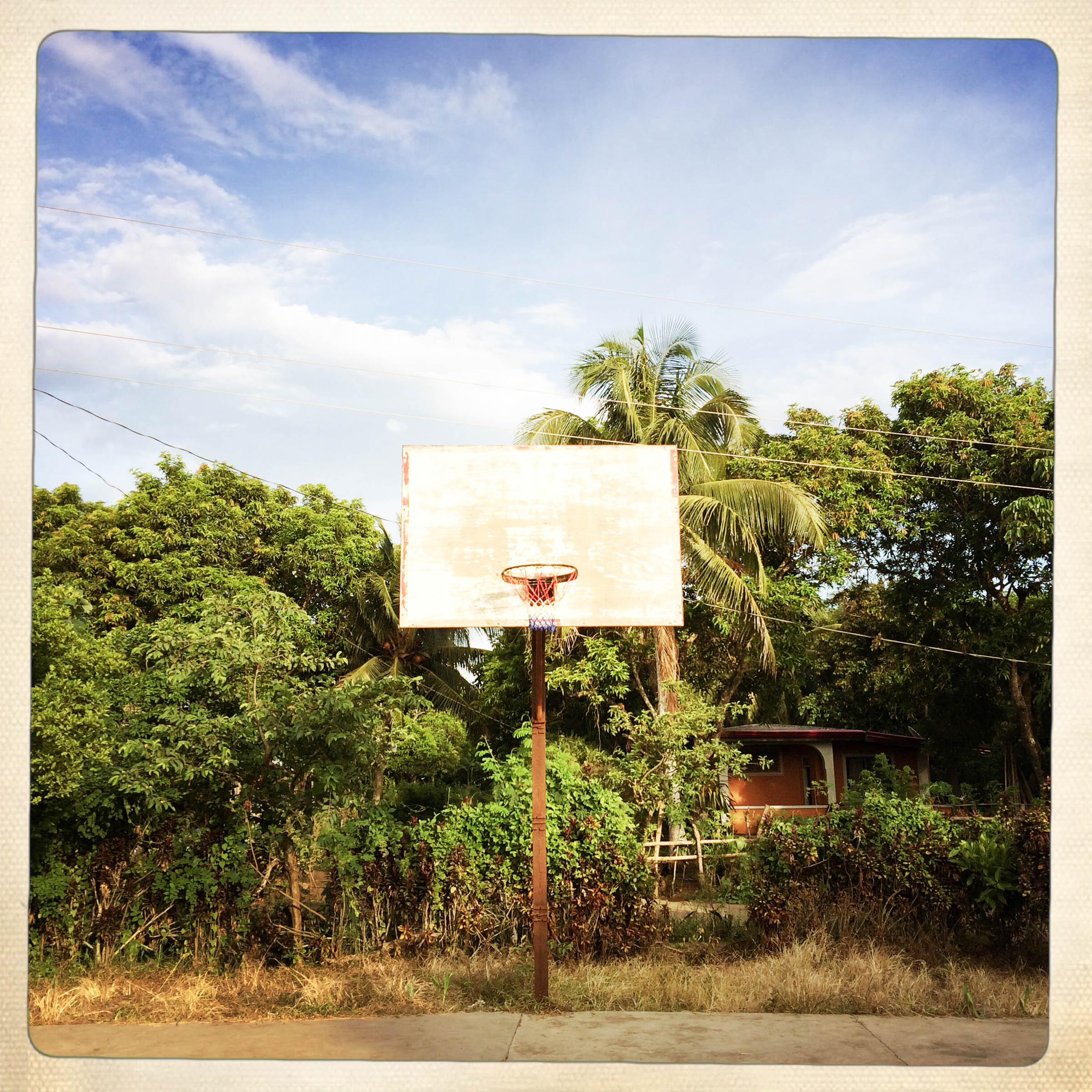 BasketballLandscapesNFT046