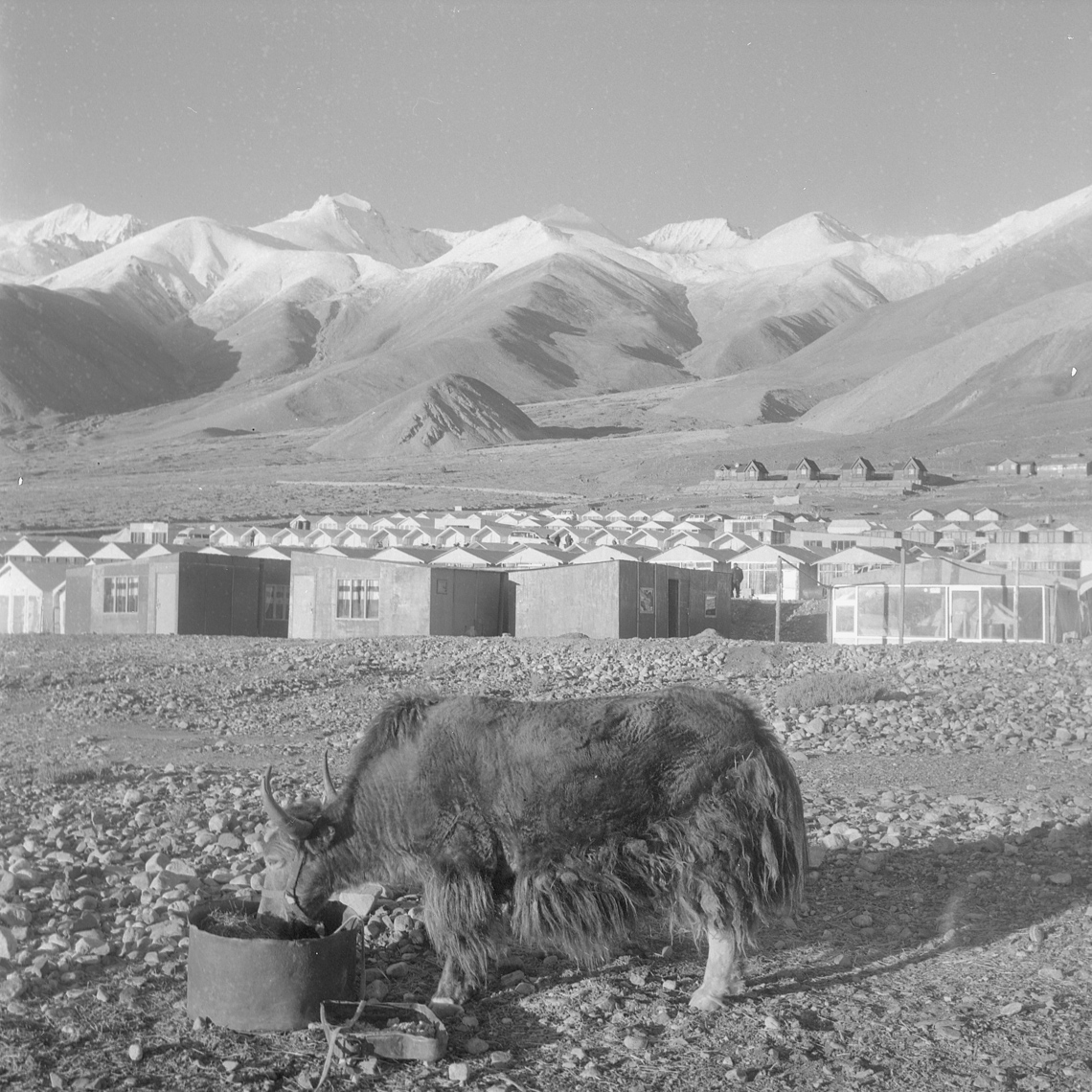 Ladakh44.JPG